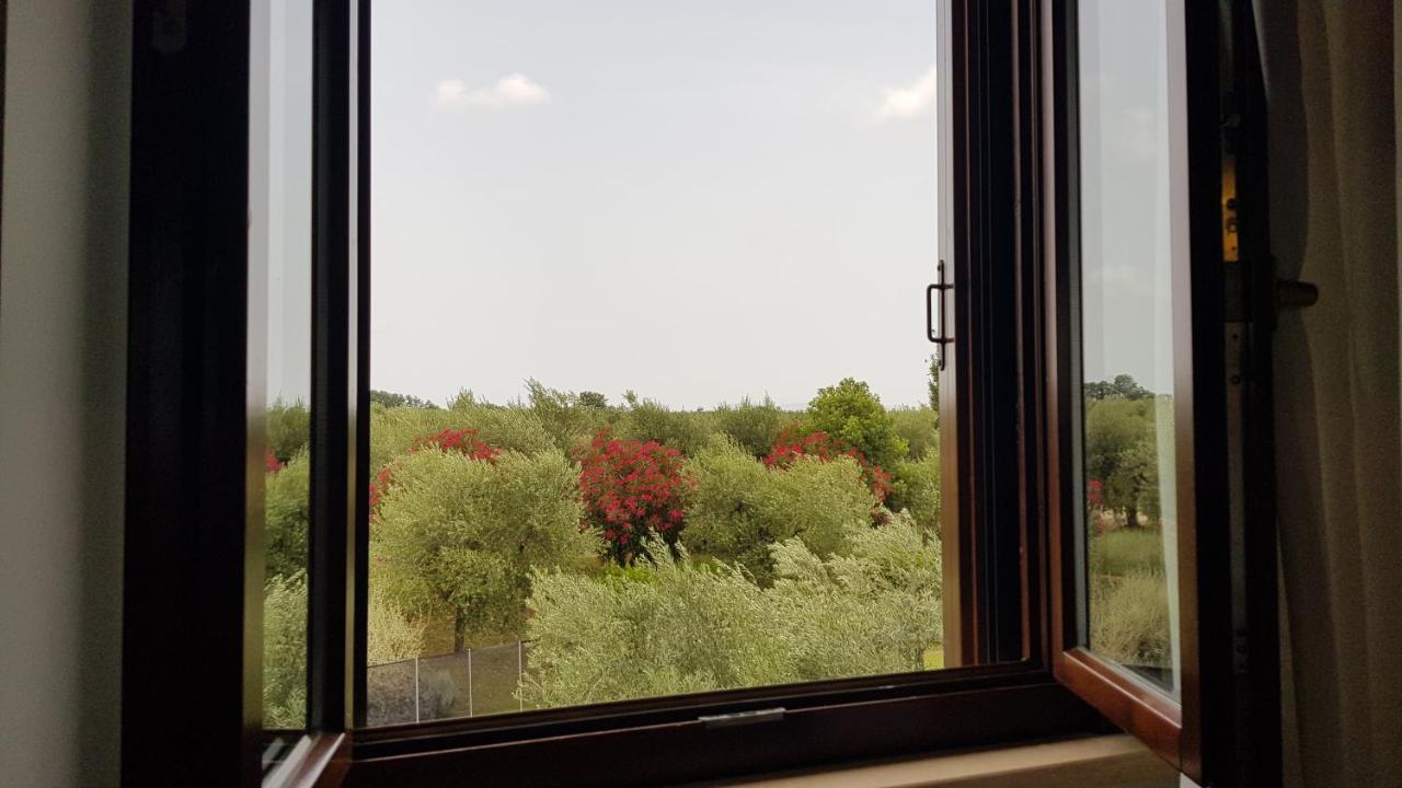 Il Casale Degli Ulivi - Agriturismo - Tenimenti Leone Lanuvio 外观 照片