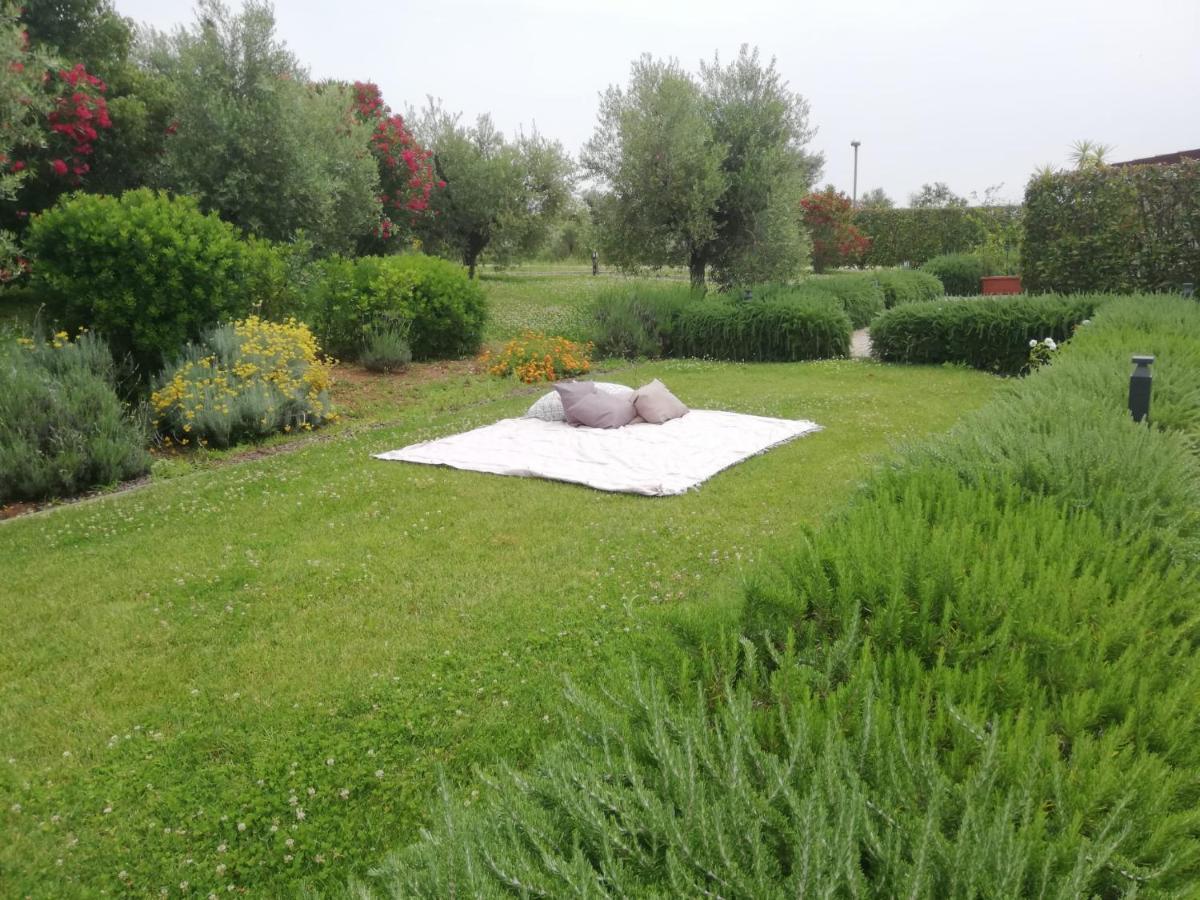 Il Casale Degli Ulivi - Agriturismo - Tenimenti Leone Lanuvio 外观 照片