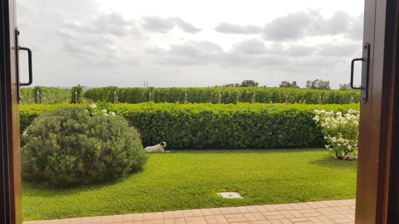 Il Casale Degli Ulivi - Agriturismo - Tenimenti Leone Lanuvio 外观 照片