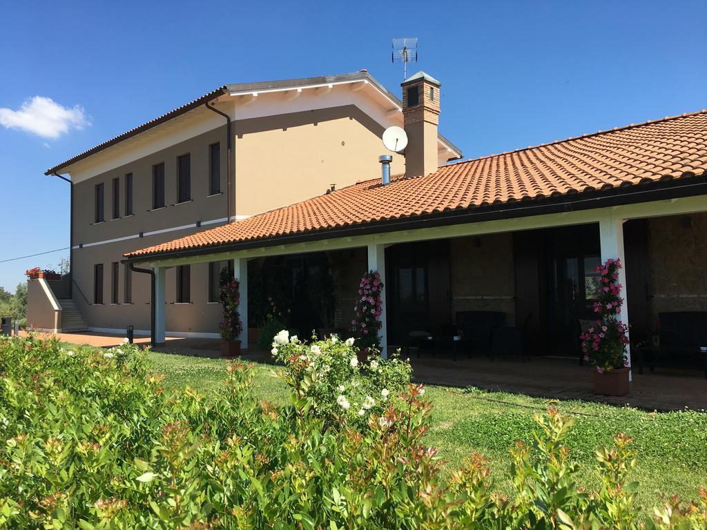 Il Casale Degli Ulivi - Agriturismo - Tenimenti Leone Lanuvio 外观 照片