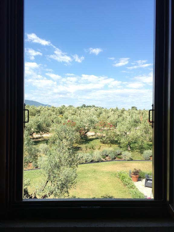 Il Casale Degli Ulivi - Agriturismo - Tenimenti Leone Lanuvio 外观 照片