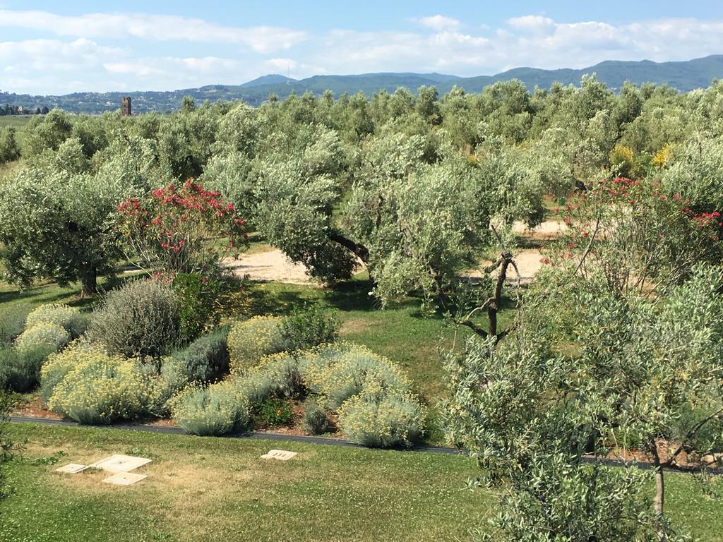 Il Casale Degli Ulivi - Agriturismo - Tenimenti Leone Lanuvio 外观 照片