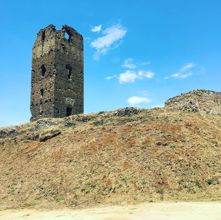 Il Casale Degli Ulivi - Agriturismo - Tenimenti Leone Lanuvio 外观 照片