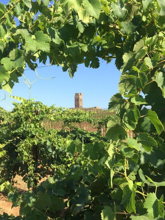 Il Casale Degli Ulivi - Agriturismo - Tenimenti Leone Lanuvio 外观 照片