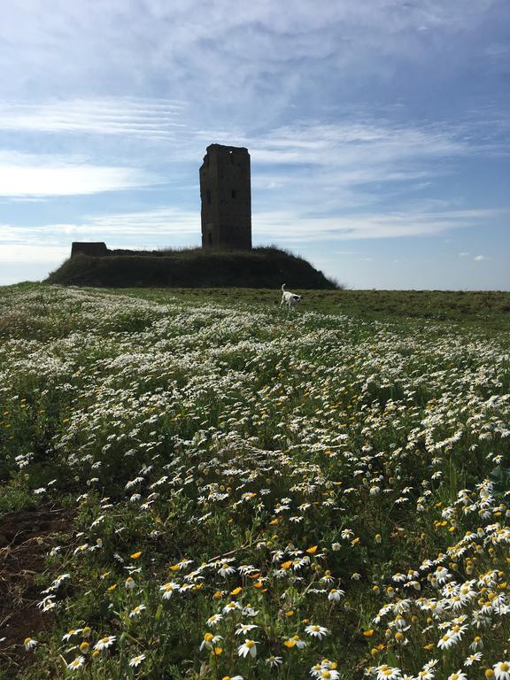 Il Casale Degli Ulivi - Agriturismo - Tenimenti Leone Lanuvio 外观 照片