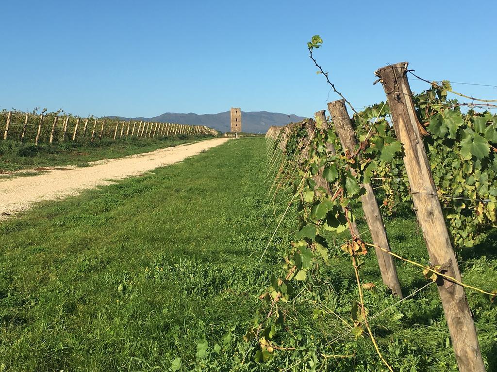 Il Casale Degli Ulivi - Agriturismo - Tenimenti Leone Lanuvio 外观 照片