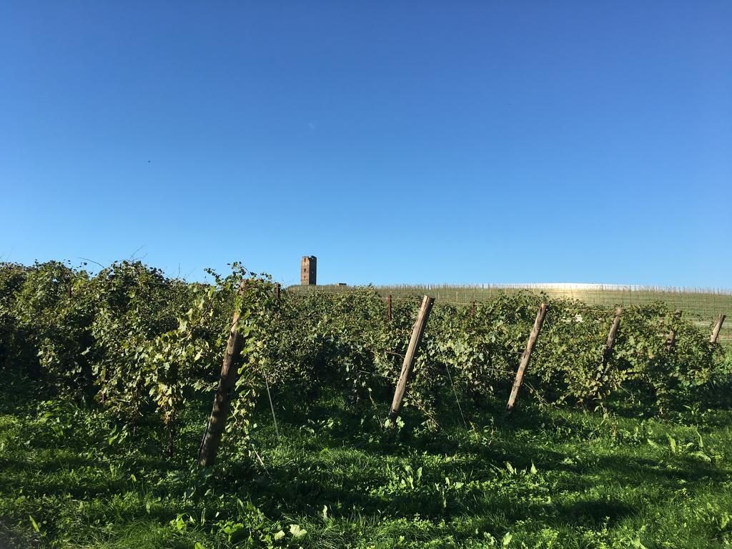 Il Casale Degli Ulivi - Agriturismo - Tenimenti Leone Lanuvio 外观 照片