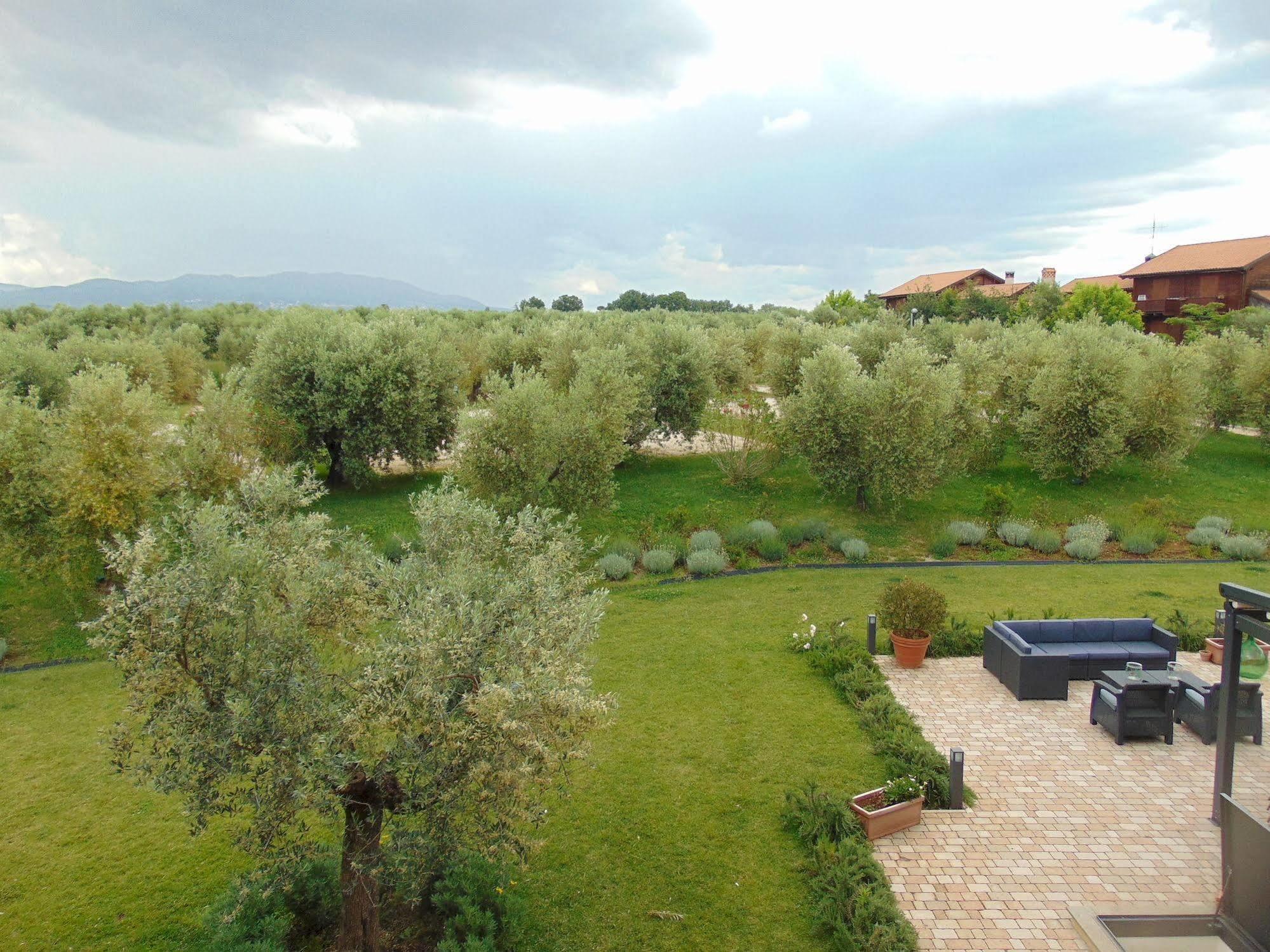 Il Casale Degli Ulivi - Agriturismo - Tenimenti Leone Lanuvio 外观 照片