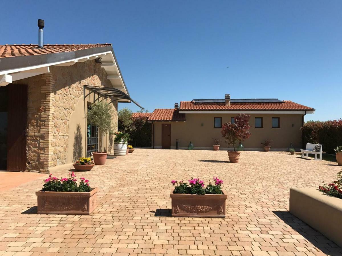 Il Casale Degli Ulivi - Agriturismo - Tenimenti Leone Lanuvio 外观 照片