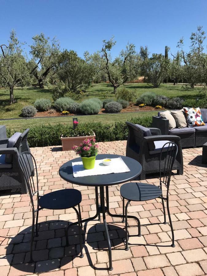 Il Casale Degli Ulivi - Agriturismo - Tenimenti Leone Lanuvio 外观 照片