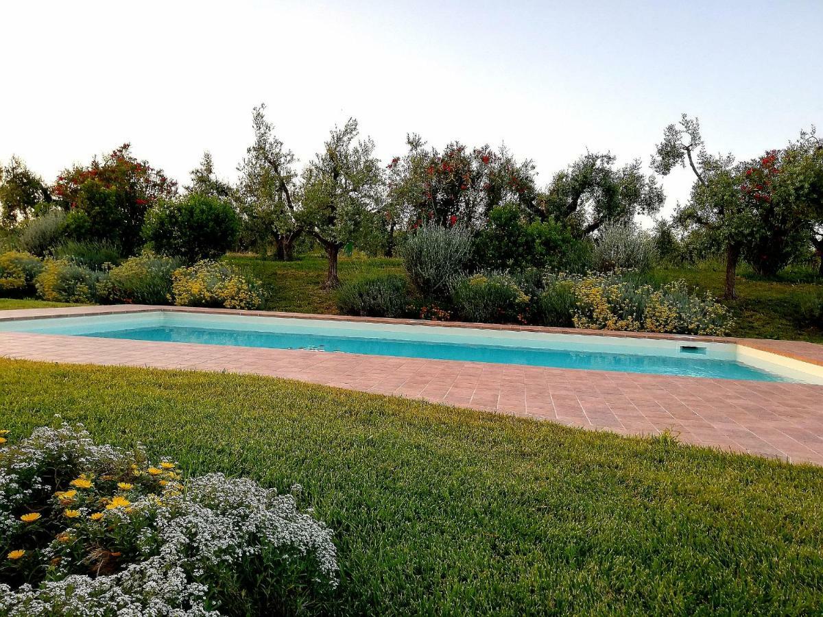 Il Casale Degli Ulivi - Agriturismo - Tenimenti Leone Lanuvio 外观 照片